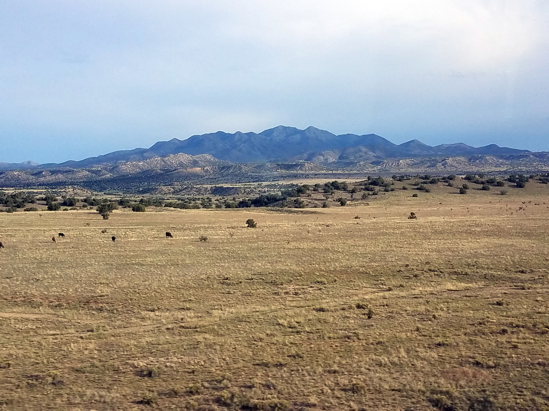 Mountains in the distance in New Mexico